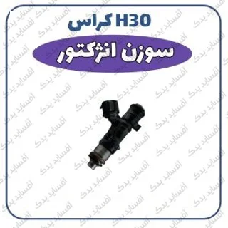 سوزن انژکتور H30 crossدنگ فنگ