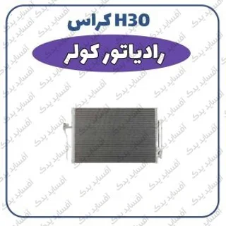 رادیاتور کولرH30 crossدنگ فنگ